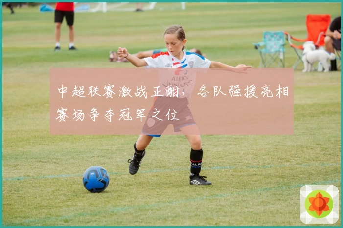 中超联赛激战正酣，各队强援亮相赛场争夺冠军之位
